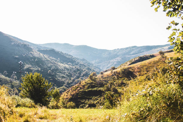 istock vegetation landscape with mountains against blue sky 1267605729