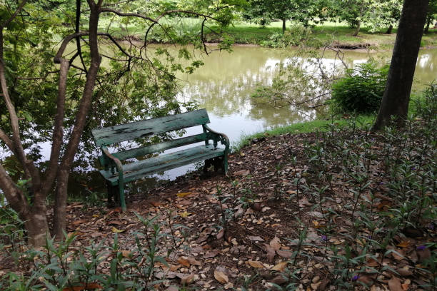 istock Old benches by the water in park. 1267610070