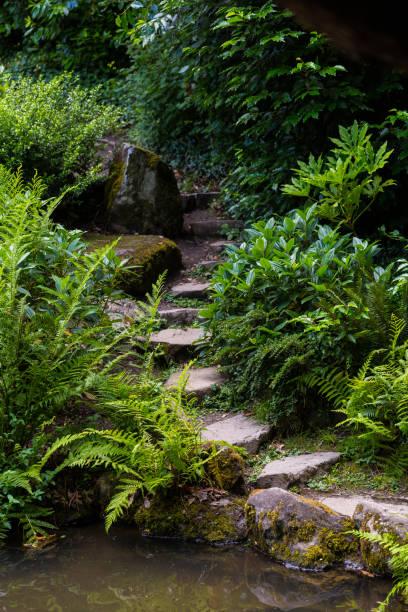 istock Beautiful Japanese garden 1267618178