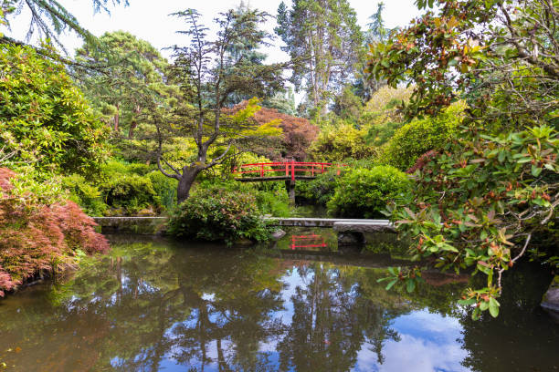 istock Beautiful Japanese garden 1267618274