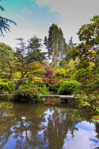 istock Beautiful Japanese garden 1267618278