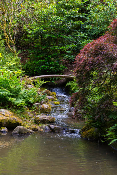 istock Beautiful Japanese garden 1267618281