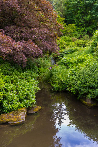 istock Beautiful Japanese garden 1267618307