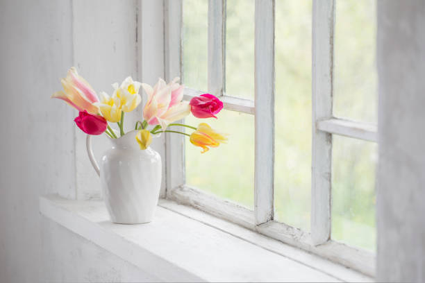 istock beautiful tulips in vase on white windowsill 1267619698