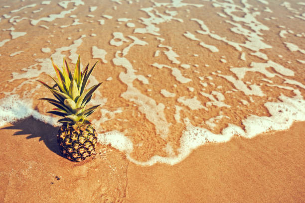 Applepine on the beach and water sea.