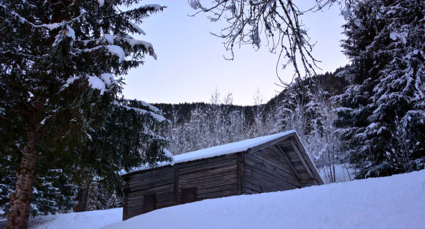 istock the shack in the snowy forest 1267623897