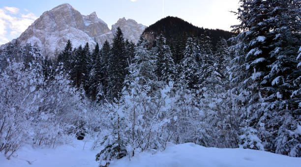 istock night falls on the snowy forest 1267623956