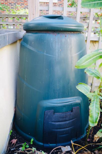 istock Rainwater container in a communal garden 1267624622