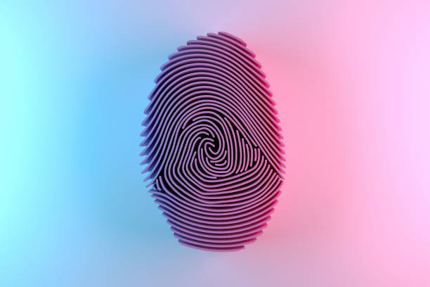 3d fingerprint maze - fingerprint thumbprint biometrics human thumb imagens e fotografias de stock