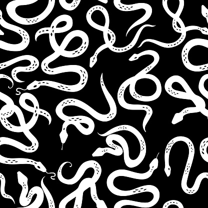  Ilustración de Patrón Sin Costuras Con Varias Serpientes O Serpientes Sobre Fondo Negro y más Vectores Libres de Derechos de A la moda