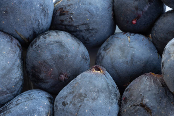 Farm fresh figs background. Macro closeup on ripe farm fresh figs.