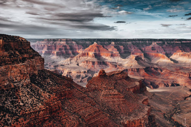 the grand canyon national park