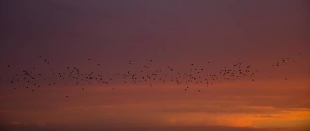 istock The beautiful Danish landscape 1267650620