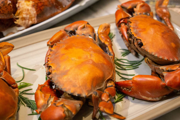 istock Live mud crabs served grilled and steamed on white plate 1267650964