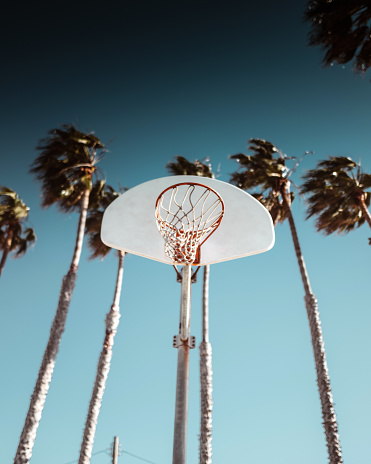 basketball net at venice beach