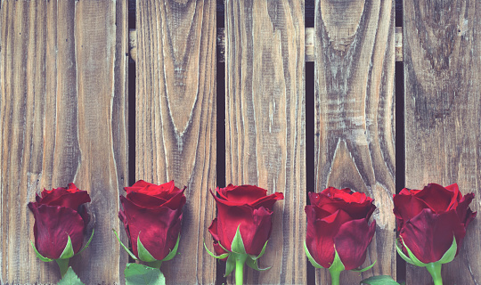 Five Red Roses on the wooden background