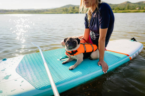 istock Paddling with my pet 1267663860
