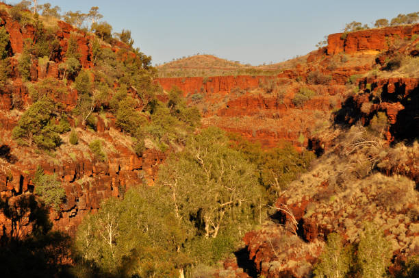 istock Dales Gorge in the afternoon light, Karijini National Park. 1267664133