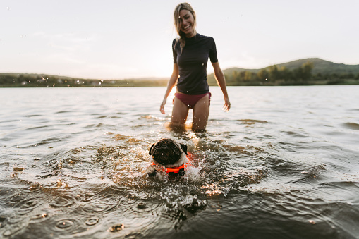 Photo of a smiling young woman and her cute pug swimming in the lake; having a great time and enjoying the sunny afternoon outdoors.