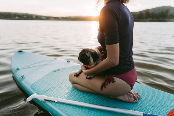 istock Enjoying the beautiful sunset 1267665214