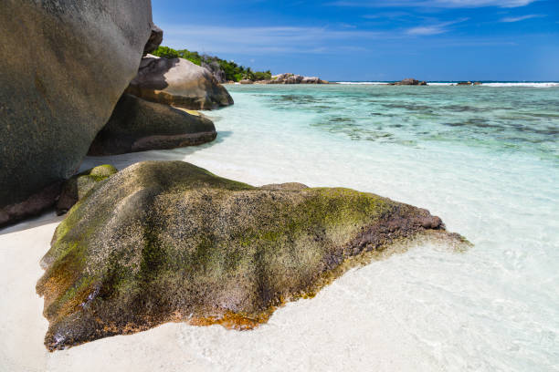 istock Granite And Beach, La Digue, Seychelles 1267666115