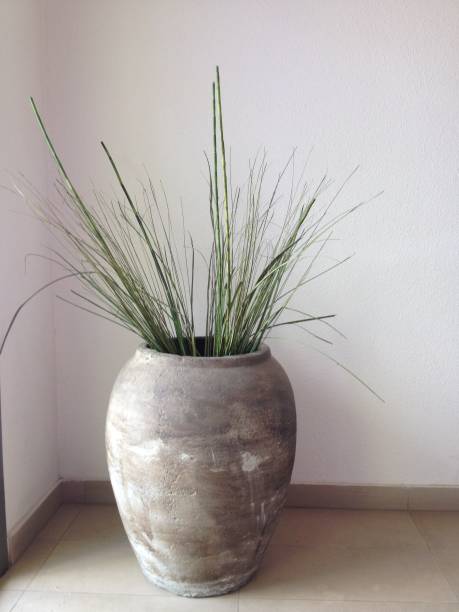 istock Pot of dried grasses 1267666170