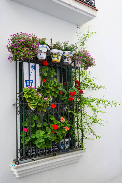 istock Mediterranean town of Sitges 1267666956