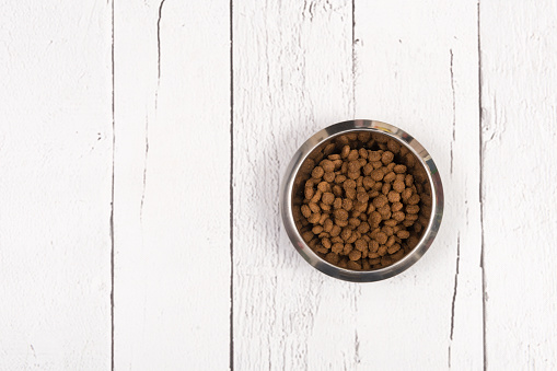 Bowl with dog kibble seen from above on white wooden planks