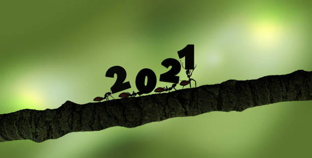istock group of ants working together 1267668360