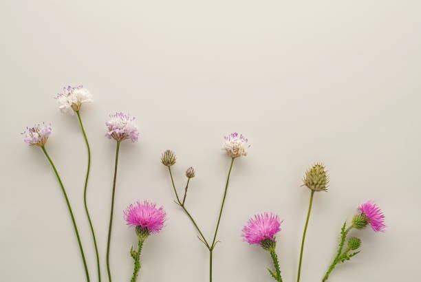 istock Autumn Floral Composition. Full depth of field. 1267670681