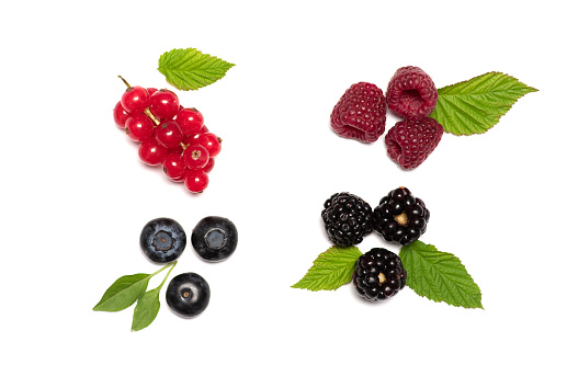 Mixed berry fruit containing currant raspberry, blackberry and blueberry on white background isolated flat lay