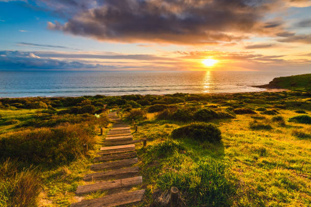 istock Hallett Cove wooden trail 1267673794