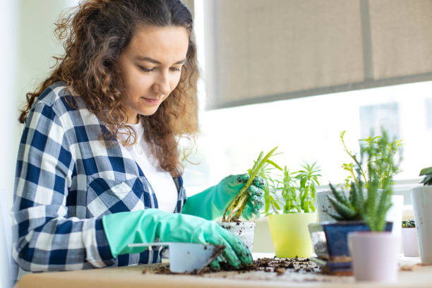 istock Planting flowers 1267675892