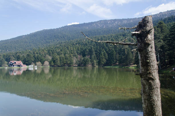 istock Bolu Golcuk lake in the spring 1267676192