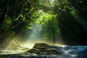 菊池渓谷、滝、光が森に横たわる、菊池、熊本、日本