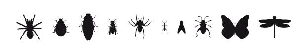 ilustrações de stock, clip art, desenhos animados e ícones de insect silhouette icon collection on white background. spider beetle and mosquits set. - silhouette spider tarantula backgrounds