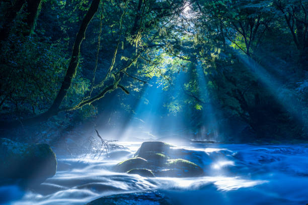 dolina kikuchi, wodospad i światło leżały w lesie, kikuchi, kumamoto, japonia - stream river forest waterfall zdjęcia i obrazy z banku zdjęć