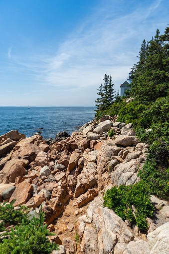 Rugged coast of granite rock and lush green trees by the Bass Harbor Lighthouse in Acadia National Park in Maine.