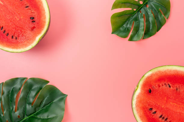 istock Watermelon with palm tree leaf on pink background. Creative minimal summer concept. 1267678863