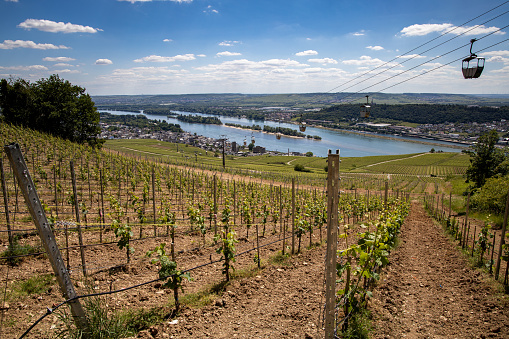 Autumnal landscape of vines and hills in Alsace near Riquewihr village, Grand Est, France