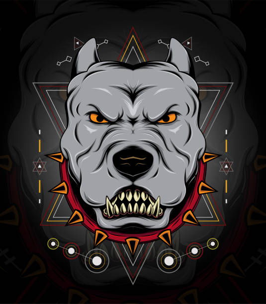 Illustration of a head of a spiteful pit bull, on a black background with ornament. Illustration of a head of a spiteful pit bull, on a black background with ornament. pit bull power stock illustrations