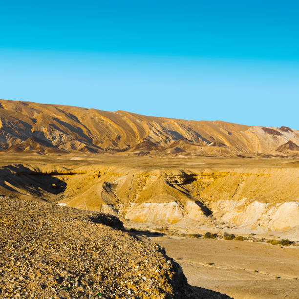 istock Negev Desert in Israel 1267684283