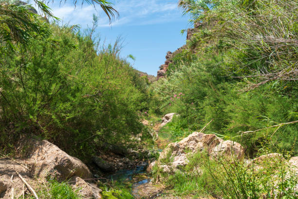 istock mountainous area in southern Spain 1267684315