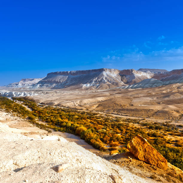 istock Negev Desert in Israel 1267684343