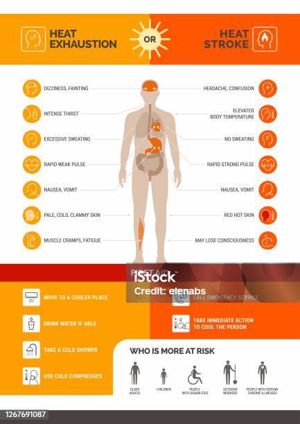 Heat Exhaustion And Heast Stroke Infographic Stock Illustration - Download Image Now - Heat - Temperature, Hyperthermia, Exhaustion
