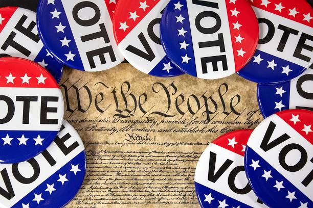 vote campaign pins on United States constitution