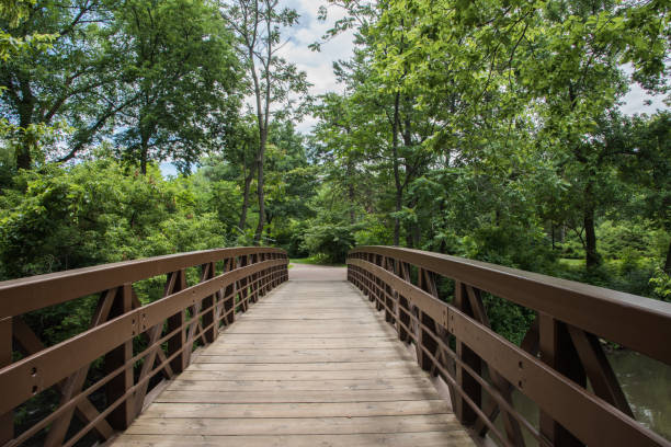 Footbridge in the Trees: Naperville, Illinois Footbridge in perspective crossing to the riverwalk with lush greenery under a blue sky with clouds in Naperville, Illinois bridge crossing cloud built structure stock pictures, royalty-free photos & images