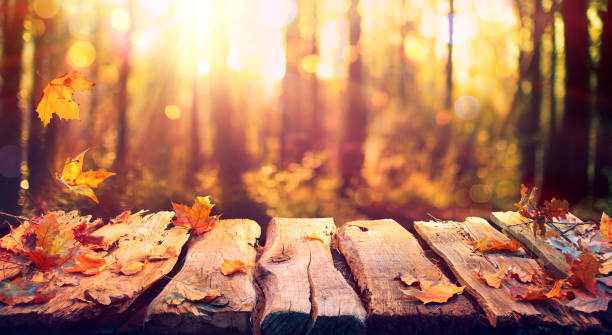istock Autumn Abstract - Aged Table With Defocused Forest And Colorful Leaves At Sunset 1267698241