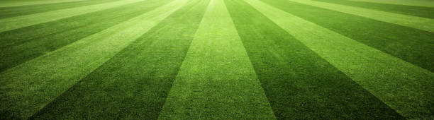 terrain de football avec l’herbe verte. fond de pelouse de sport - soccer soccer field grass american football photos et images de collection