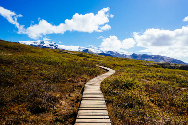 istock Iceland Hiking Trail 1267707313